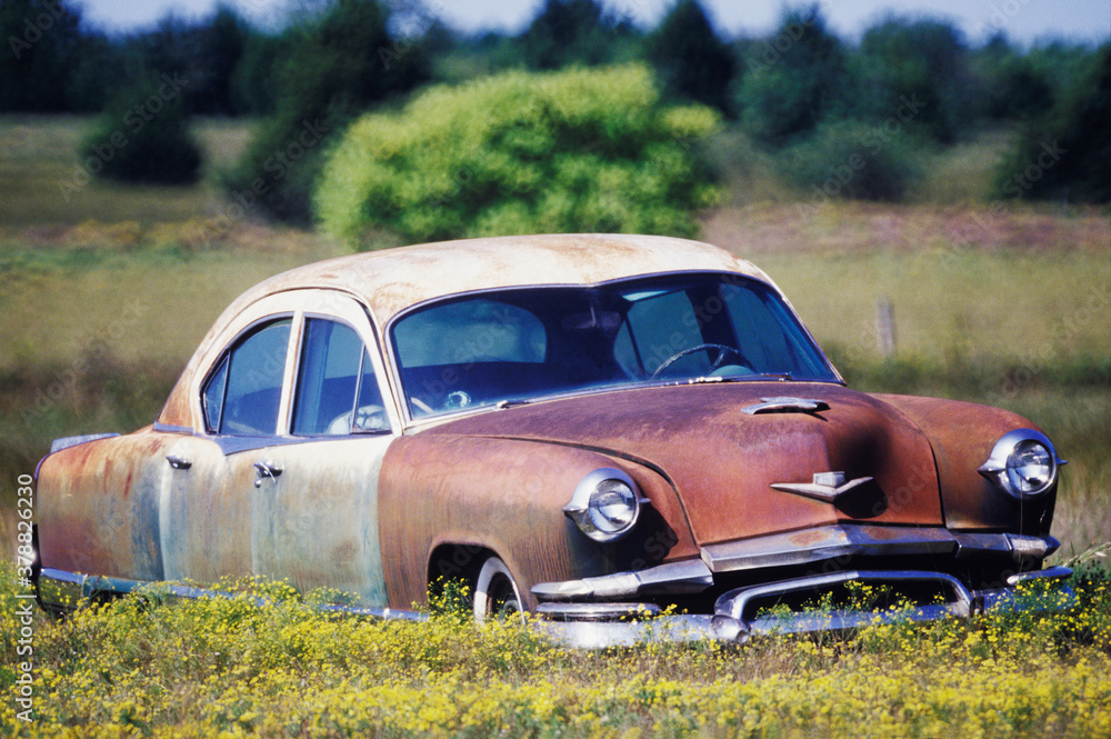 Fototapeta premium Close-up of an old car in a field 