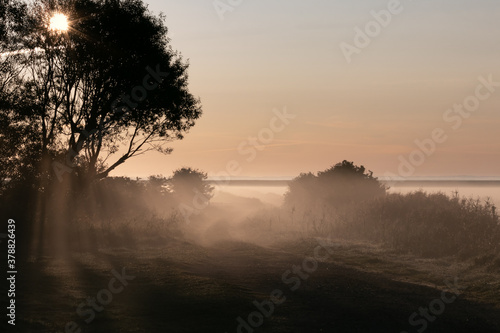 field path with sun rays in the fog © Lars Gieger