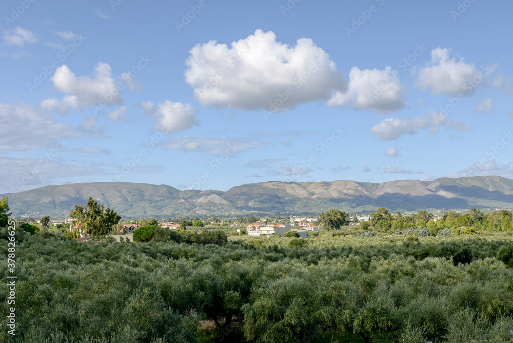 landscape with oliva gardens, mountains and sky with clouds
