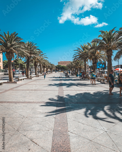 palm trees in the city center