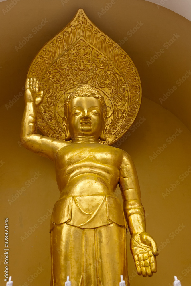 Young golden Gautuam Budhha Statue