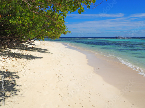 Fototapeta Naklejka Na Ścianę i Meble -  Beautiful palm trees and tropical beach, blue sky and blue lagoon. Luxury travel summer holiday destination. Maldives, Thoddoo island