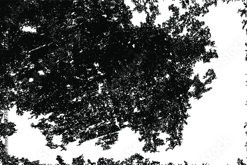 Dirty grunge background. The monochrome texture is old. Vintage worn pattern. The surface is covered with scratches.	
