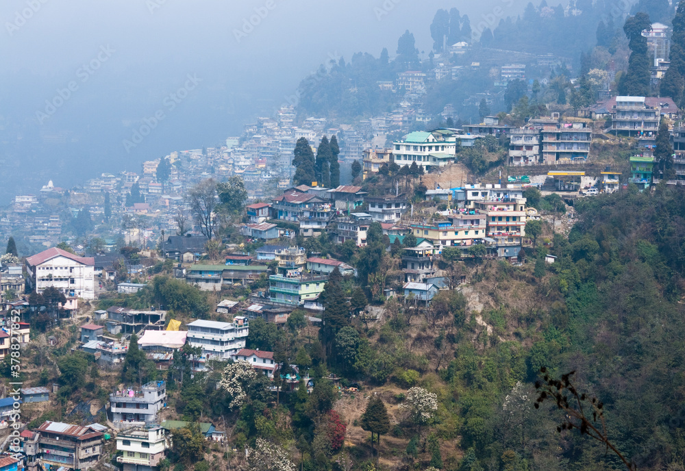 Darjeeling City View