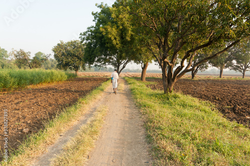 Indian farmer having walk in the field.