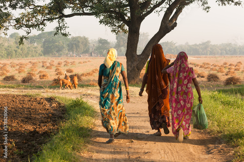 Indian woman workers walking in the field on morning.