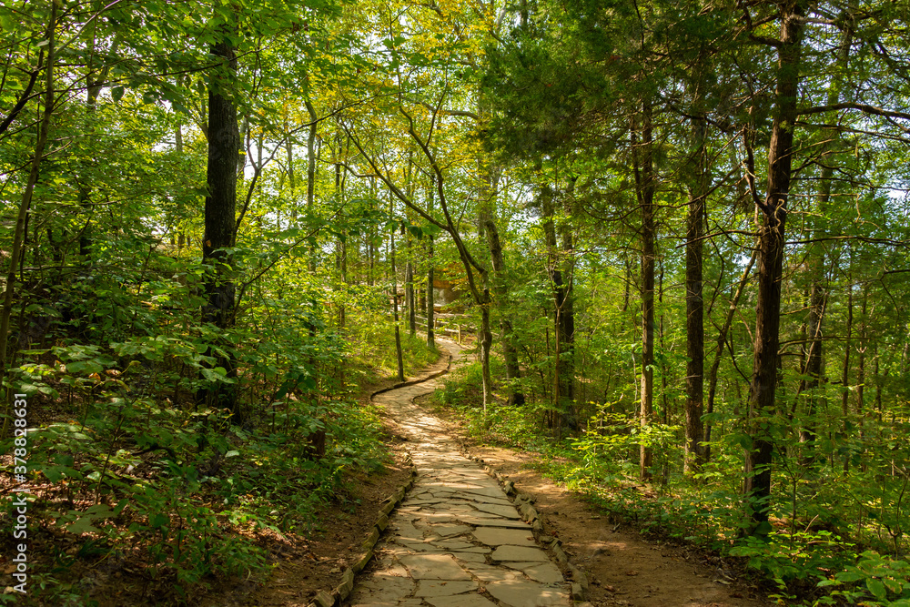 Fototapeta premium Hiking Trail