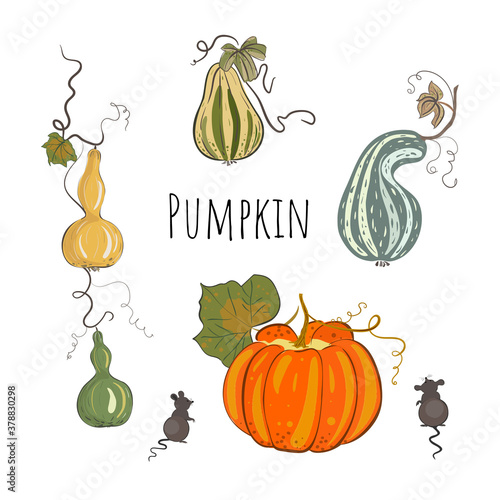 Pumpkin set in hand drawn style with two little mouses. Colorful pumpkins.