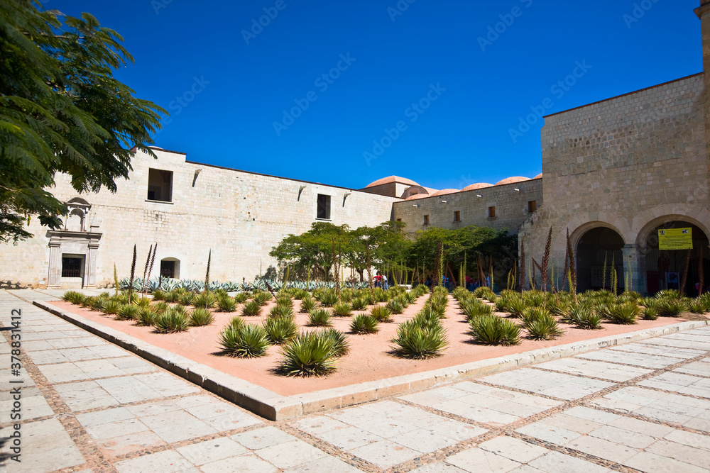 Courtyard of a museum, Santo Domingo, Oaxaca, Oaxaca State, Mexico 