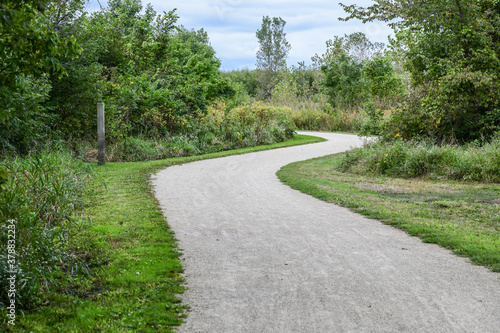 empty winding path through the forest trail