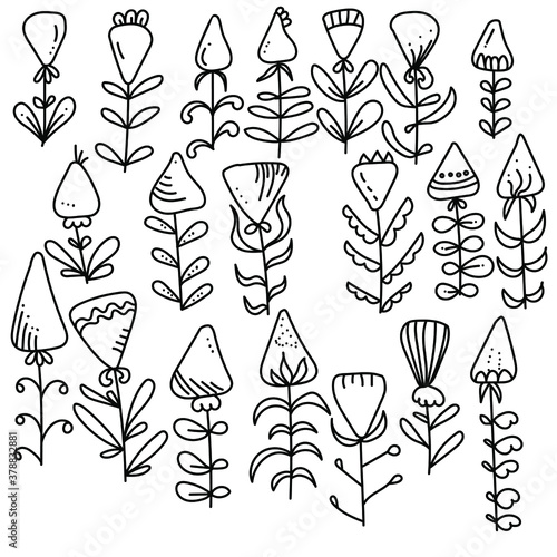 Set of doodle plants with flowers or fruits in triangle shape, fantasy plants with different leaves and petals