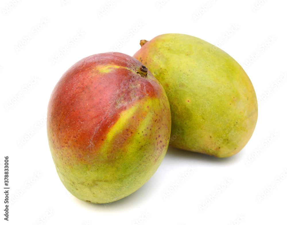Mango fruits isolated on white background Mango fruits isolated on white background