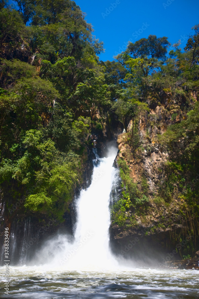 Waterfall in a forest, Tzararacua Waterfall, Uruapan, Michoacan State, Mexico