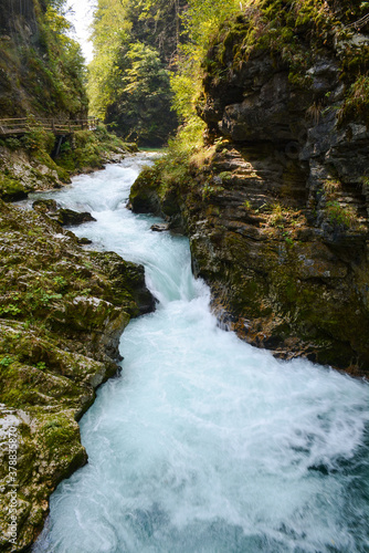 Rapids of the river Radovna in Bled Vintgar
