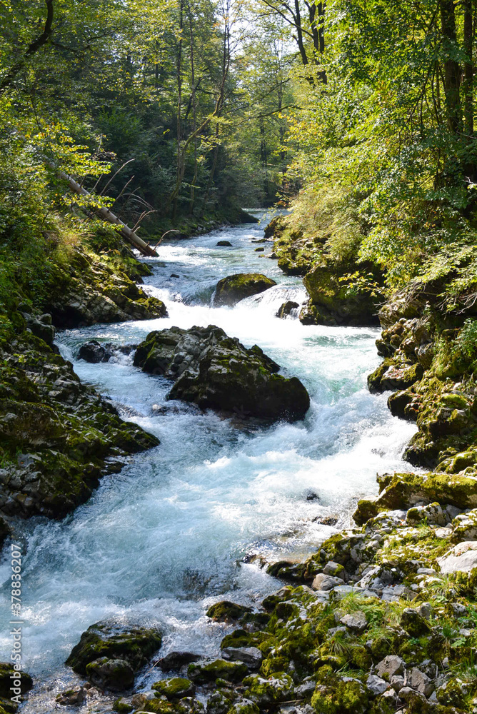 Rapids of the river Radovna in Bled Vintgar Rapids of the river Radovna in Bled Vintgar