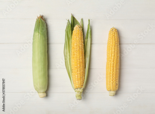 Corn cobs on white wooden table  flat lay