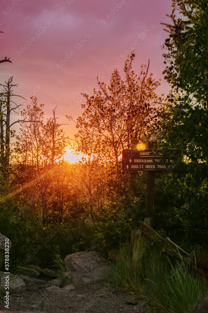 Sunset on Mount Elden in Flagstaff, Arizona, USA Sunset on Mount Elden in Flagstaff, Arizona, USA