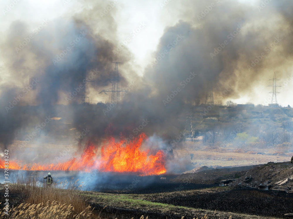 Fire, wildfire, conflagration, burning reeds and trees near the road under high-voltage wires
