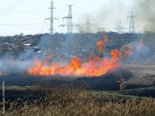 Fire, wildfire, conflagration, burning reeds and trees near the road under high-voltage wires