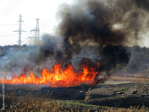 Fire, wildfire, conflagration, burning reeds and trees near the road under high-voltage wires