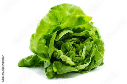 Green lettuce isolated on white background