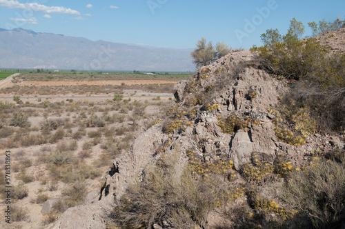 Cactus on a hill, Fatima Mountain, La Rioja Province, Argentina photo