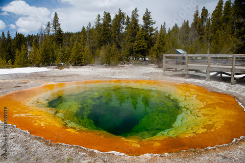 Hot spring, Morning Glory Pool, Upper Geyser Basin, Yellowstone National Park, Wyoming, USA