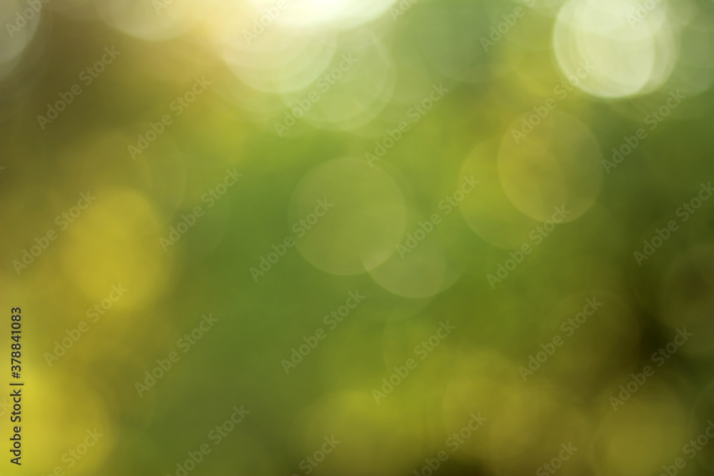 Defocused abstract background from the green bokeh. Defocused abstract background from the green bokeh.