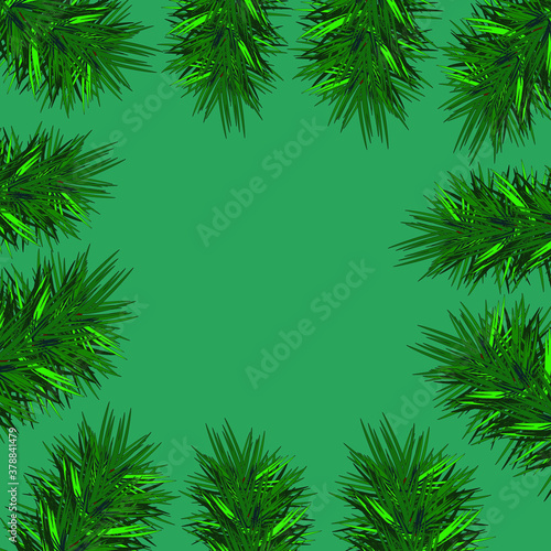 Pine branches on a green background. Idea for the holiday, new year and poster.