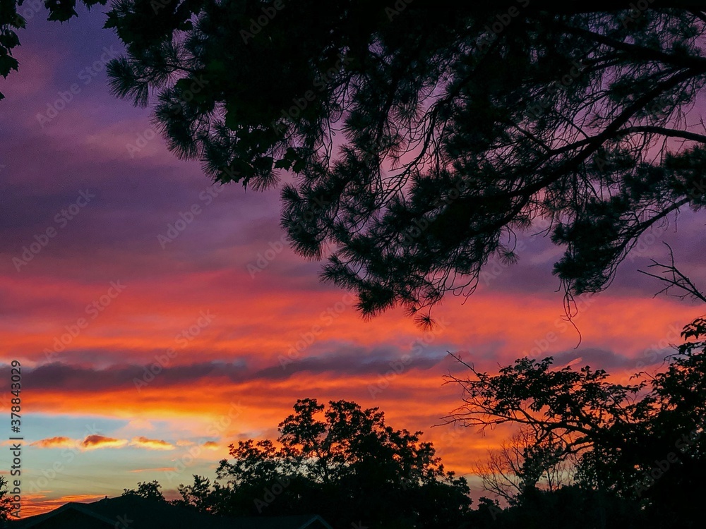 Fototapeta premium sunset in the sky