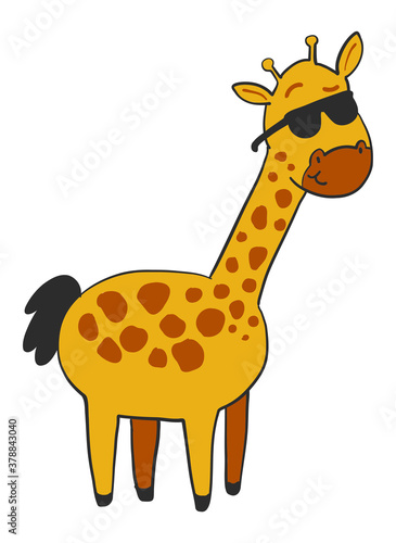 Fototapeta Naklejka Na Ścianę i Meble -  Cute giraffe wearing sunglasses