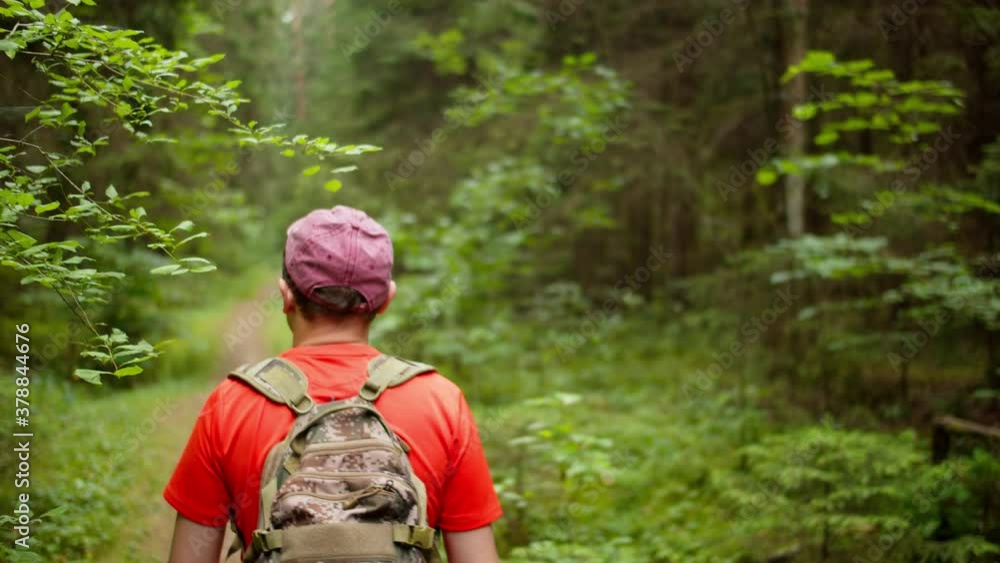A traveler with a backpack and a cap is walking along a forest path, back view, camera tracking A traveler with a backpack and a cap is walking along a forest path, back view, camera tracking