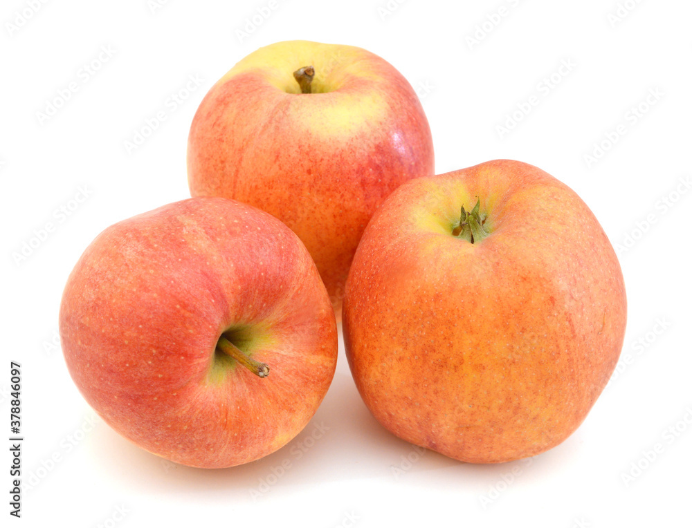 Red apple isolated on white background cutout Red apple isolated on white background cutout