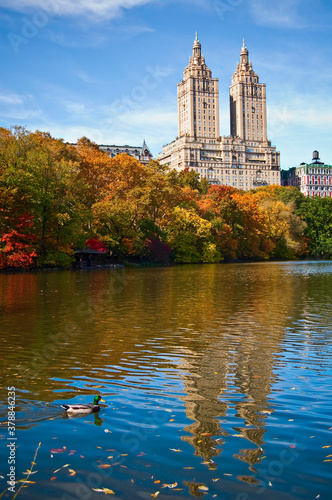 Duck swimming in lake with skyscrapers in the background, Central Park, Manhattan, New York City, New York State, USA