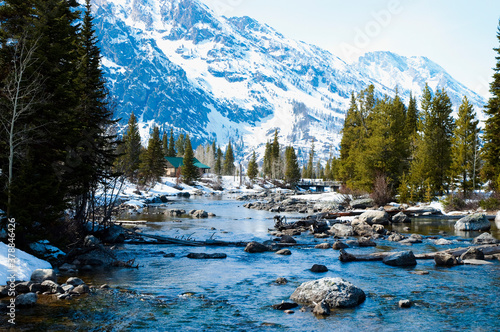 River flowing through a forest, Yellowstone National Park, Wyoming, USA photo