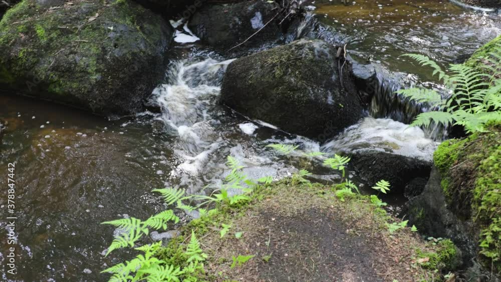 Beautiful view of the forest landscape on a summer day. Mountain river through a stone landscape in the forest. Sweden. Beautiful view of the forest landscape on a summer day. Mountain river through a stone landscape in the forest. Sweden.