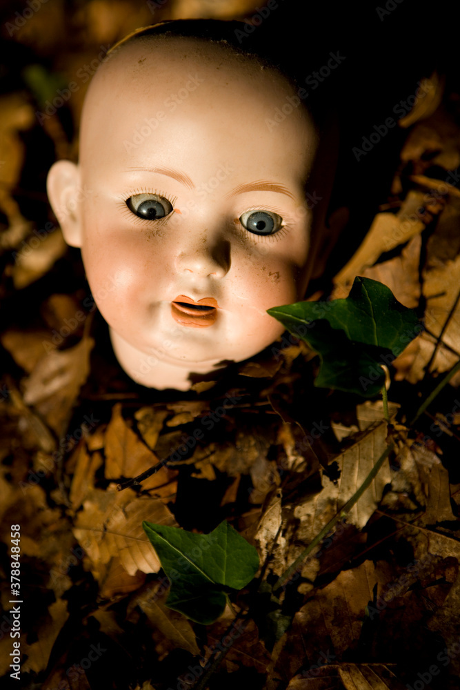 Φωτογραφία Close-up of a doll head in maple leaves, New York City, New York State, USA
