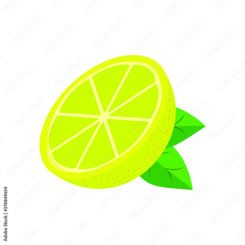 Lemon slice with green leaves, a collection of vector illustrations, isolated on a white background Lemon slice with green leaves, a collection of vector illustrations, isolated on a white background
