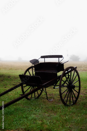 Horse cart in a field, Loma Verde, Buenos Aires, Argentina