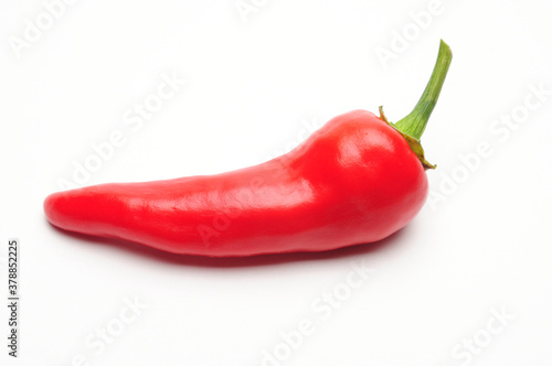 Natural hot pepper on a white background