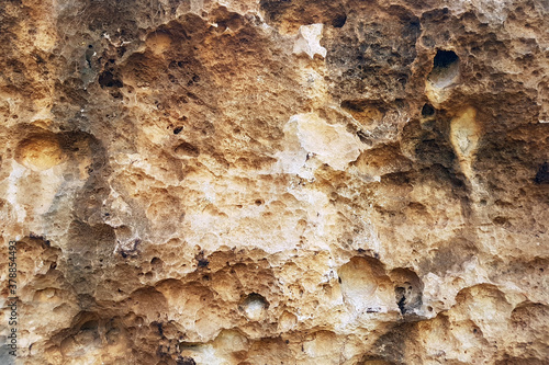 Cuba. Varadero texture of limestone rocks