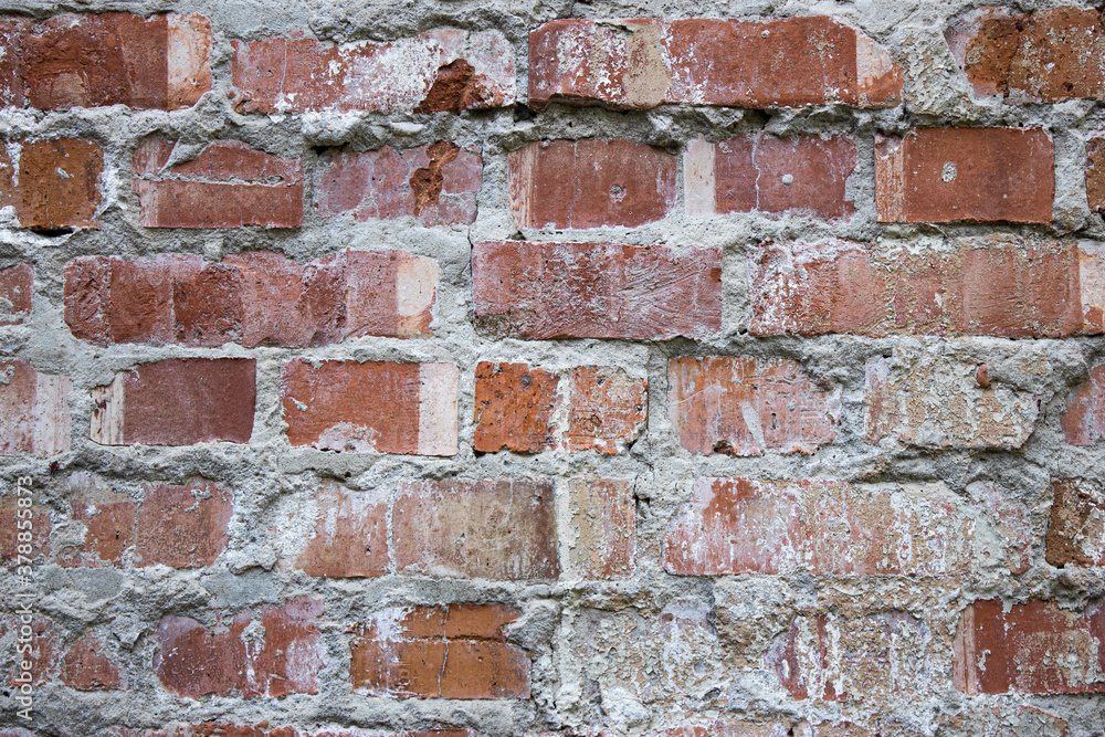 Fototapeta premium brick wall texture with gray concrete between bricks