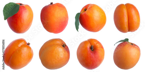 Set of fresh ripe apricots on white background. Banner design