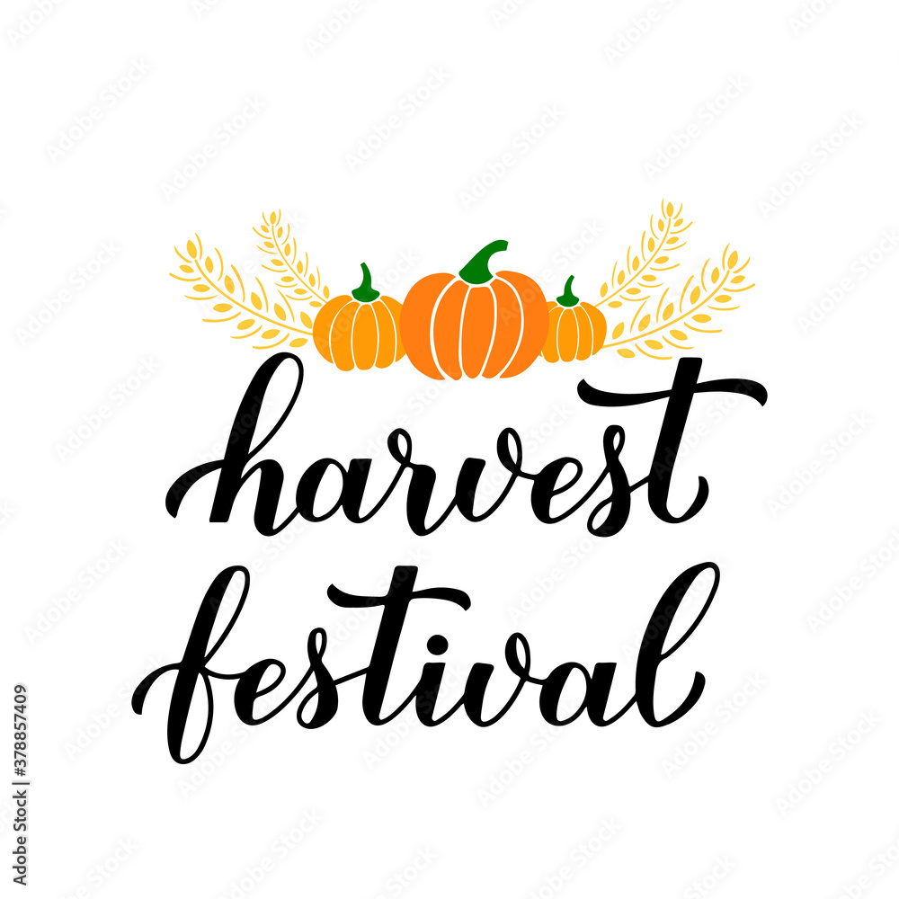Harvest festival calligraphy lettering with hand drawn pumpkins and wheat ears isolated on white. Vector template for banner, typography poster, flyer, postcard, sticker, logo design, etc Harvest festival calligraphy lettering with hand drawn pumpkins and wheat ears isolated on white. Vector template for banner, typography poster, flyer, postcard, sticker, logo design, etc
