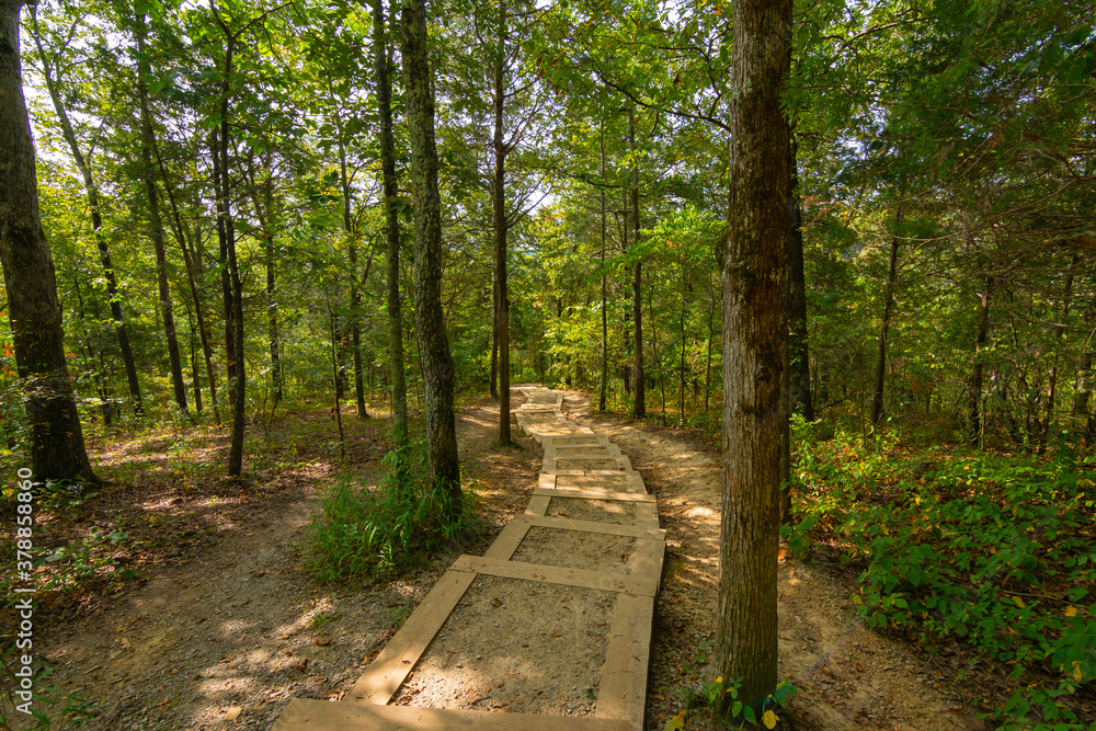 Obraz premium Hiking Trail