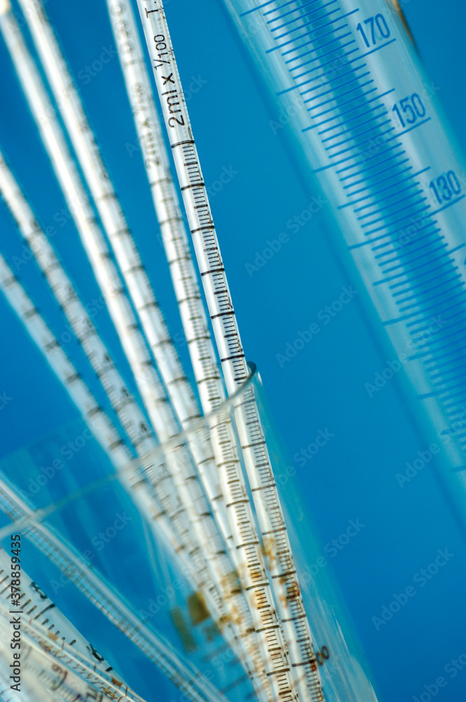 Close-up of pipettes in a beaker