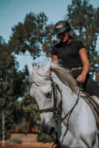 Caballo español en una hipica en andalucia con su Jinete Amazona montandolo con sus riendas y saltando en una pista 