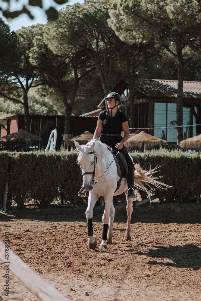 Caballo español en una hipica en andalucia con su Jinete Amazona montandolo con sus riendas y saltando en una pista Caballo español en una hipica en andalucia con su Jinete Amazona montandolo con sus riendas y saltando en una pista