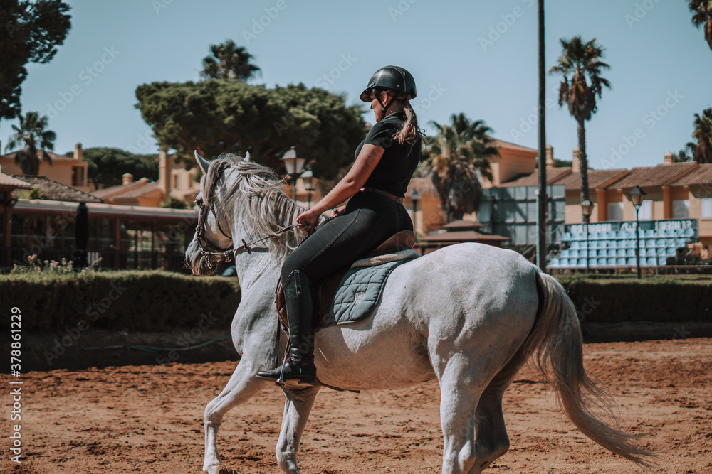 Caballo español en una hipica en andalucia con su Jinete Amazona montandolo con sus riendas y saltando en una pista Caballo español en una hipica en andalucia con su Jinete Amazona montandolo con sus riendas y saltando en una pista