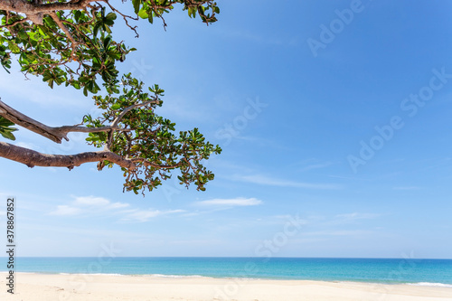 Fototapeta Naklejka Na Ścianę i Meble -  Summer holiday and vacation background concept of beautiful leaves frame trees on tropical beach in summer season.